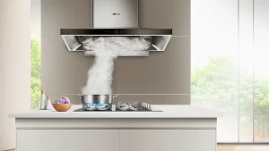 Range Hood Insert